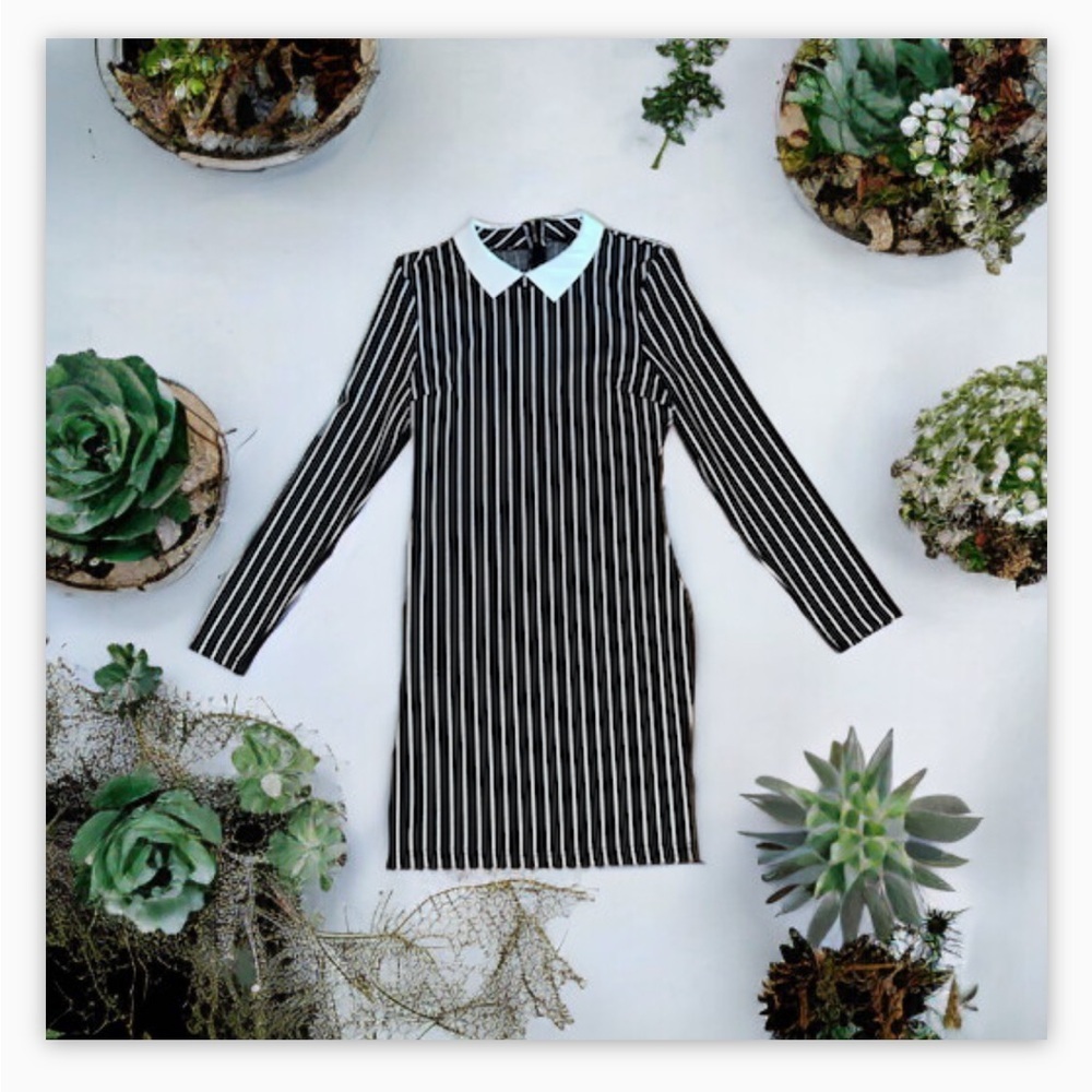 Revamped
Black White Pinstripe Collared Dress M
Wednesday Addams Goth - Picture 10 of 15